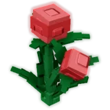 Fissure Berry