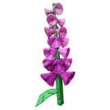Foxglove