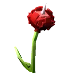 Horned Redrose