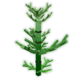 Horsetail
