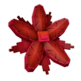 Lagoon Lily