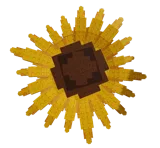 Legacy Sunflower