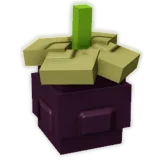 Mangosteen