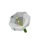 Moonflower