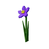 Nightshade