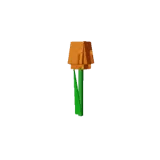 Orange Tulip