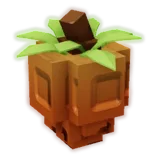 Persimmon