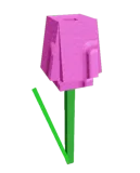 Pink Tulip