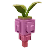 Rosy Root