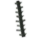 Severed Spine