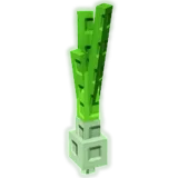 Spring Onion