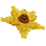 Suncoil