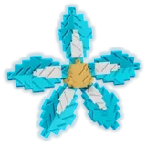 Tidal Orchid