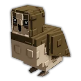Brown Owl
