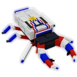 Champion Beetle
