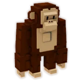 Chimpanzee