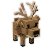 Elk