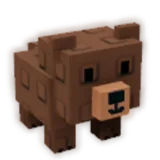 Grizzly Bear