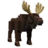 Moose