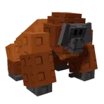 Orangutan