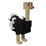 Ostrich