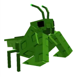 Praying Mantis