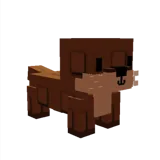 Sea Otter