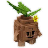 Seedling