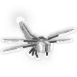 Silver Dragonfly
