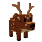 Spotted Deer