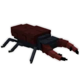 Stag Beetle