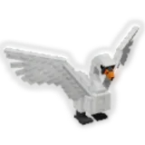 Swan