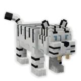 White Tiger