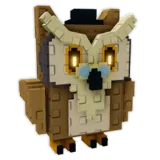 Wise Owl