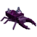 Amethyst Beetle