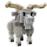 Angora Goat
