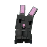 Black Bunny