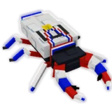 Champion Beetle