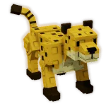 Cheetah