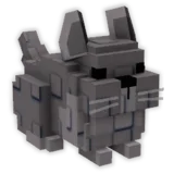Chinchilla