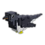 Cuckoo
