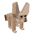Fennec Fox
