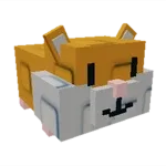 Hamster