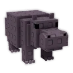 Hippo