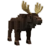 Moose