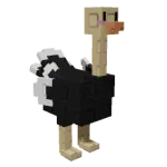 Ostrich