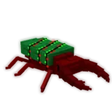 Pine Beetle