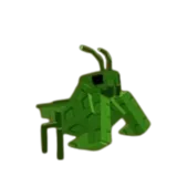 Praying Mantis