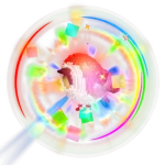 Rainbow Birb