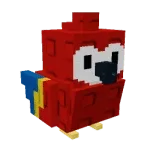 Scarlet Macaw